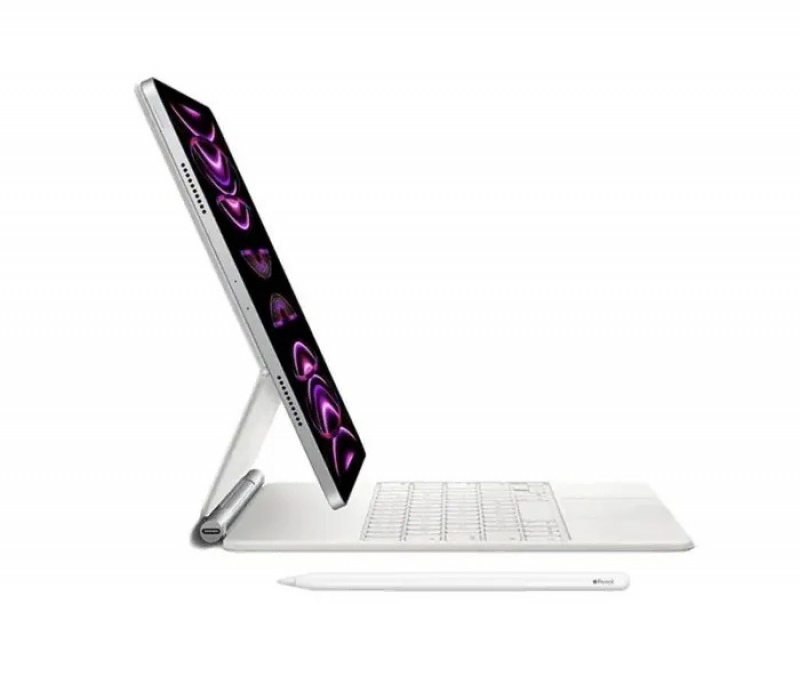 Apple iPad (2022) M2 Pro 11 1TB Wi-Fi Sp. Gray